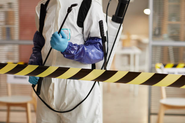 Professional Hoarding Cleanup technician working in Hartman, AR